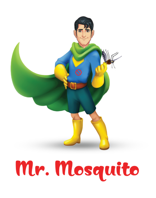 Mosquito Nets in Hyderabad